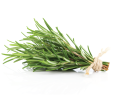 Woda kwiatowa (hydrolat) z rozmarynu - ECOCERT