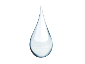 Geogard® 221 (Dehydroacetic Acid, Benzyl Alcohol) – konserwant